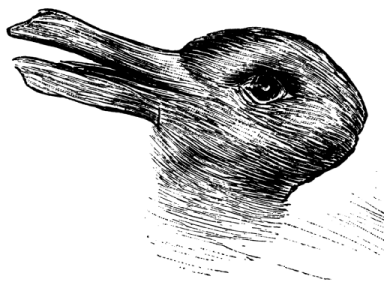 Kaczko-królik
